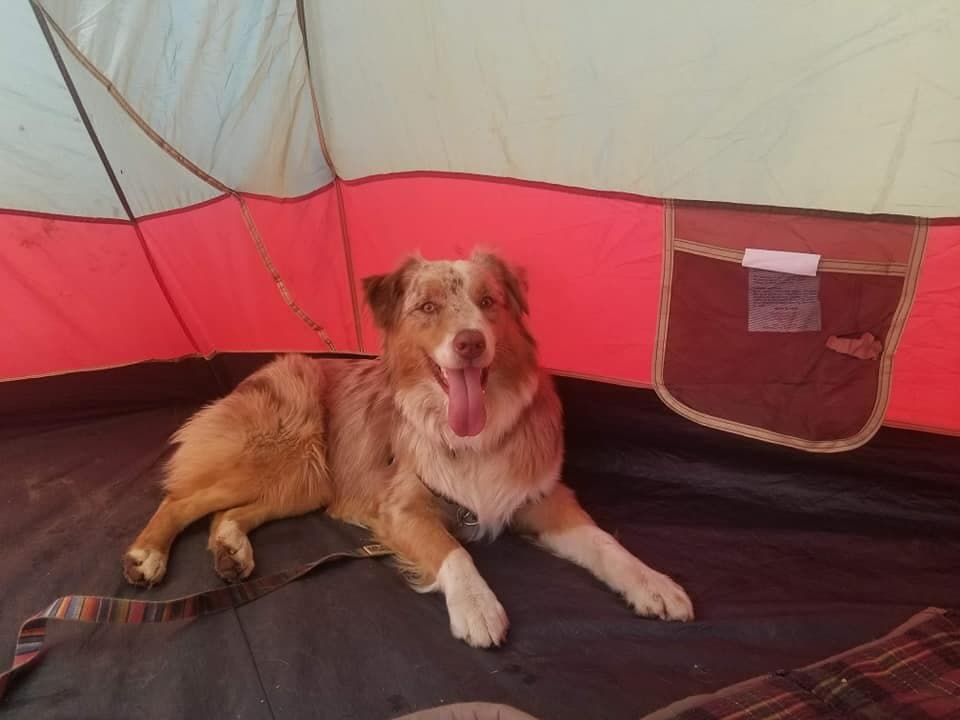 Happy Rock Canyon Aussie family 3
